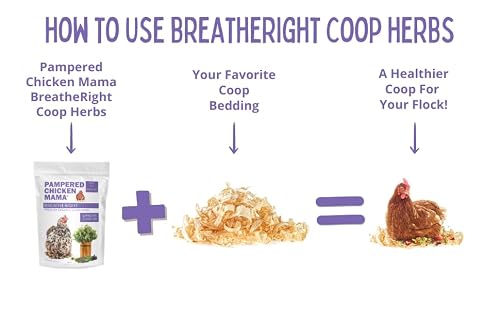 BreatheRight Chicken Coop Herbs for Hens (1.25 Pounds) - Thumbnail 3