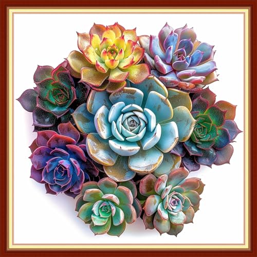 Image of Dimensean Stamped Cross Stitch Kits Full Range of Embroidery Patterns Starter Kits for Beginners Adult DIY Cross Stitches Needlepoint Kits 11CT-Succulent Plants 18x18 inch