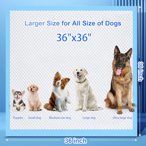 Image of XXXL Puppy Pee Pads for Dogs 36 inchx36 inch 40 Count, Extra Large Dog Pee Pads, Leak-Proof & Super Absorbent Dog Pee Pads, Thicken Disposable Potty Pads Puppy Training Pads for Cats Rabbits