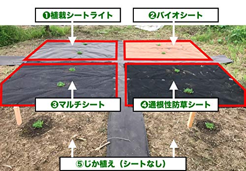 クラピア　植栽用　通根性防草シート 2m×約11.3m J字型ピン100本付 Amazon.co.jp: クラピア専用高耐久二層構造防草シート 2m×25m（50平米