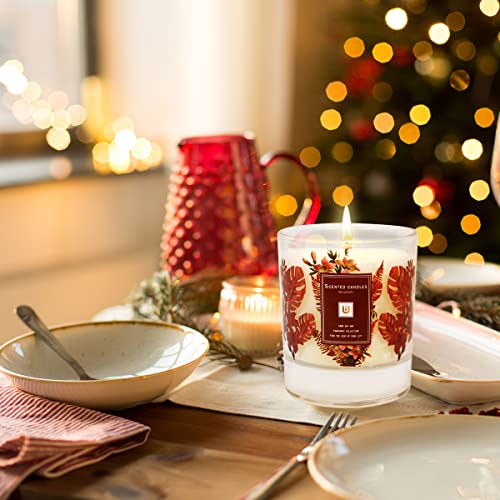 Scented Candles Aromatherapy Gifts For Women | 8 Ounce Jar Candle Long Lasting Scented Candles For Home | Stress Relief Soy Candles | Office Gifts For Women-Apple &Cinnamon #TOP4