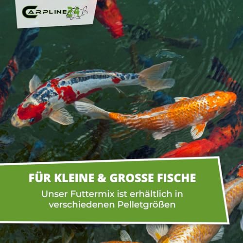 Carpline24 Eco Multi Koi Mix 2,5 kg 6 mm - Hochwertiges Koifutter mit Astaxanthin, Proteinreiches Fischfutter Farbenprächtige Teichfische