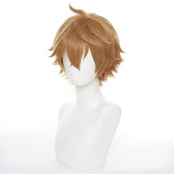 Amazon.co.jp: HIROAKIYA タルタリヤ ウィッグ 原神 タルタリヤ