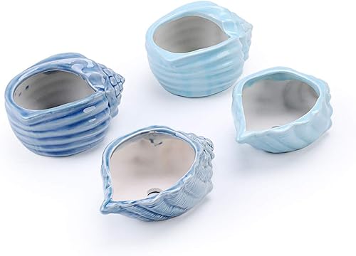 Miniatura 3 de Macetas bonsái de 5.5 pulgadas, serie Blue Conch Ocean Serie, juego de serie de base de cerámica, maceta para suculentas, maceta de cactus, maceta