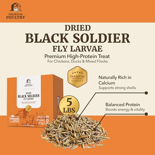 Black Soldier Fly Larvae for Chickens – High Calcium Chicken Treats for Strong Eggshells & Egg Production – Dried BSFL Grubs Poultry Feed for Ducks, Wild Birds & Backyard Flocks, 5lb - Image 3