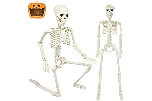 3FT Halloween Skeleton | Life-like Graveyard Yard Lawn Haunted House Decor