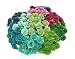 NAVA CHIANGMAI Mini Rose Flowers,Mulberry Paper Floral Blue Purple Green Tone 10 mm 100 Mixed Dollhouse