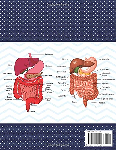 Digestive System Anatomy Coloring Book: Human Digestive System Anatomy Self test Guide for Anatomy Students. Human Body Art & Anatomy Workbook for ... Book for Human Anatomy Students & Teachers. - Image 2