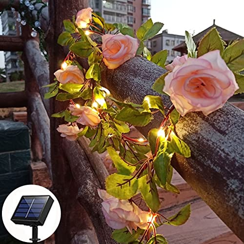 cuzile Guirlande de fleurs solaires - 50 LED - Guirlande solaire pour cour, jardin, arbre,...