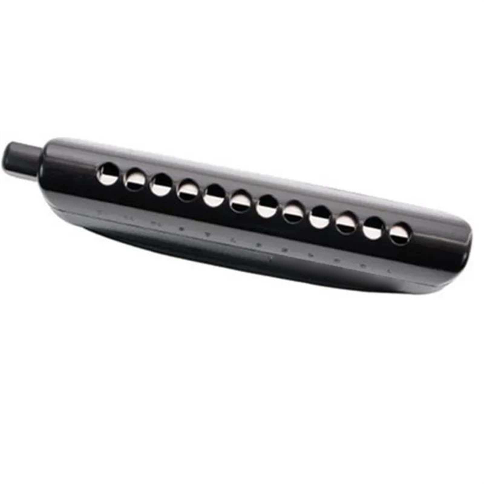 Armonica Cromatica A 12 Fori Strumento Musicale Professionale Organetto A Bocca ABS Semiopaco armonica a bocca professionale