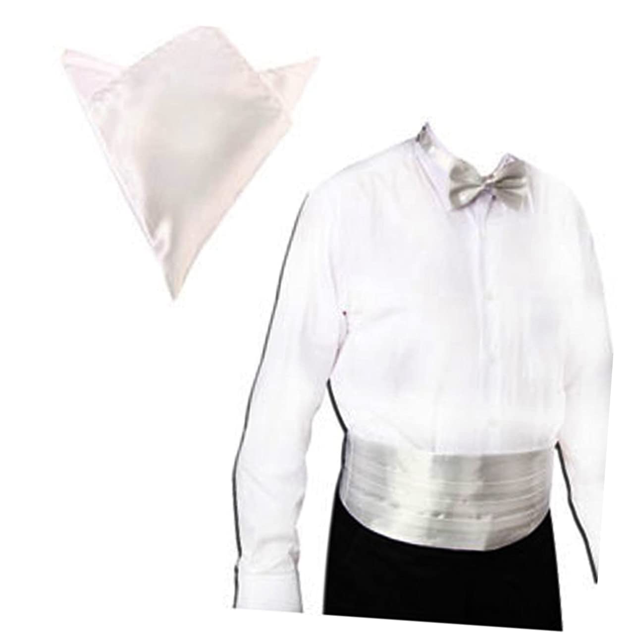 9 Stück Herren Satin Fliege Herren Kummerbund Herren Einstecktuch Herren Fliege