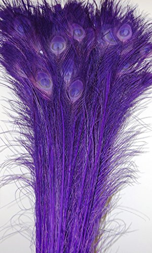 50 Pcs Bleached & Dyed Peacock Feathers 35