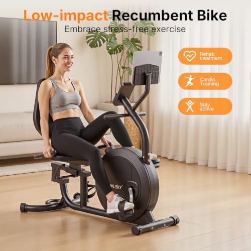 Image of OWLSKY Recumbent Exercise Bike for Home Gym, Magnetic Stationary Bike with 16-Level Resistance, Quiet 15LBS Flywheel, 300LBS Capacity, Low-Impact Cardio & Physical Therapy