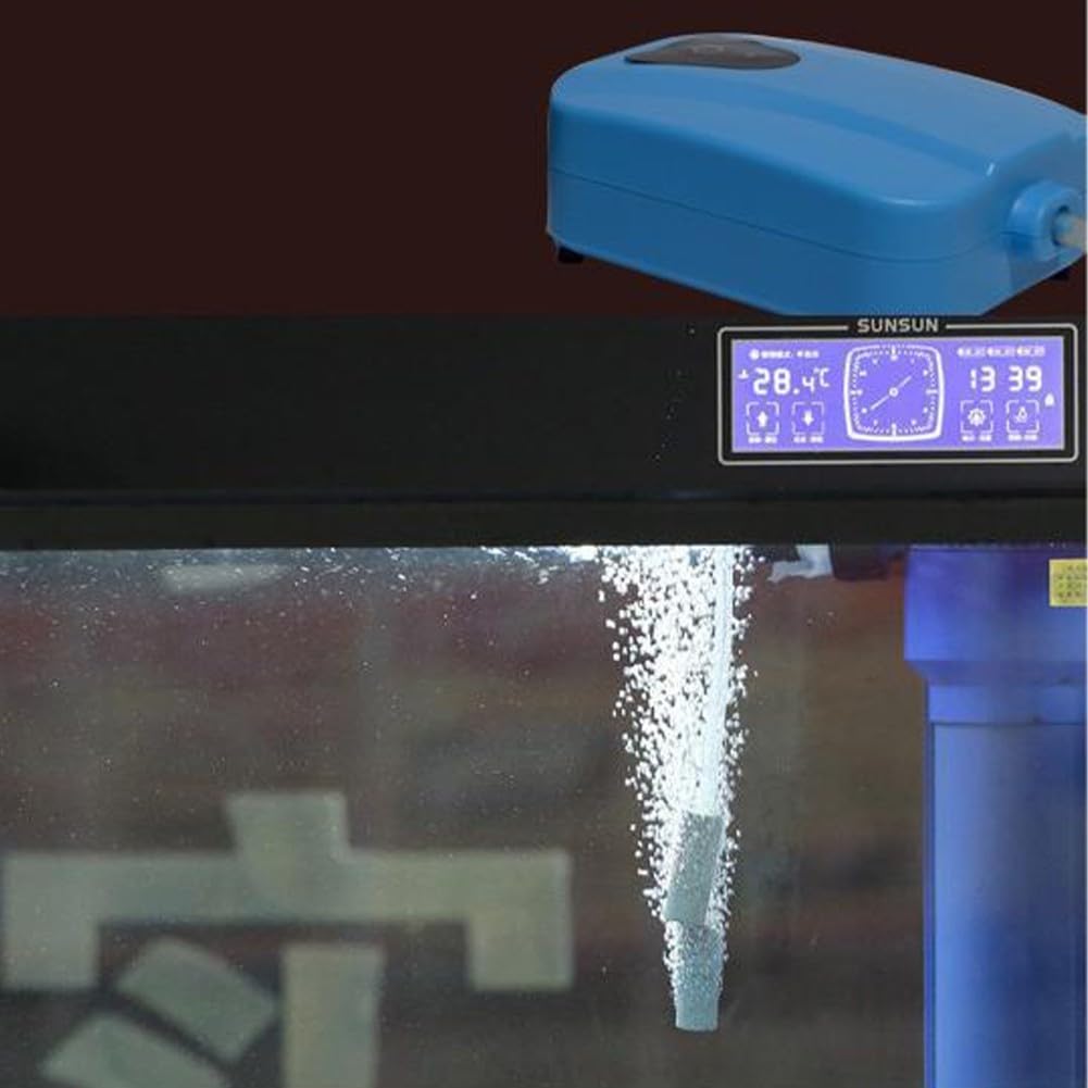Ossigenazione solare, flusso d'aria da 2 l/min, struttura in ABS, per laghetti e acquari esterni, alimentato a energia solare con ricarica di backup DC
