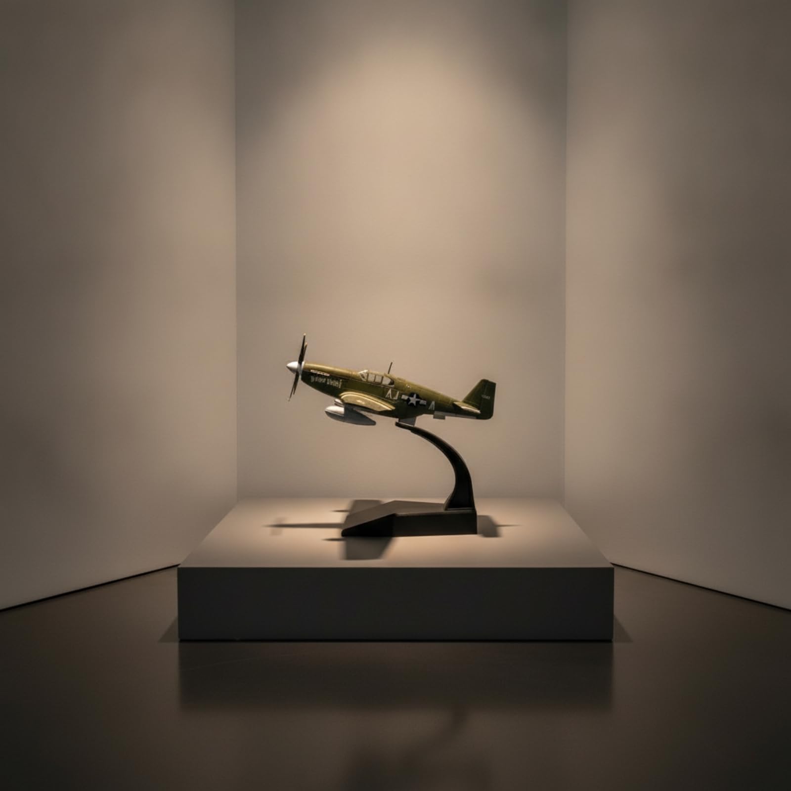 Modello Pressofuso Cavallo da Combattimento Simboli Stampati Aereo Militare in Miniatura Dettagliato per Collezionisti