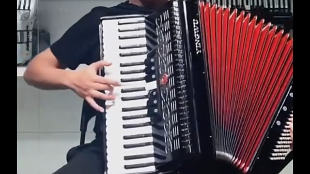Amazon.com: Accordion 41 Keys 120 Bass Professional, German