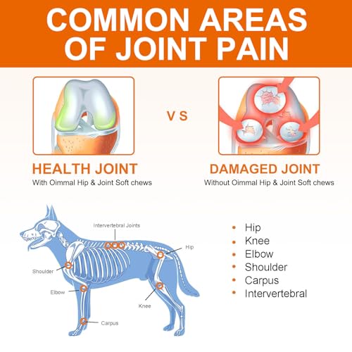 Joint Supplement for Dogs, Dog Joint Supplements with Glucosamine, Chondroitin, Hip & Joints Care for Dogs All Breeds Ages, 60 Softchews - Image 6