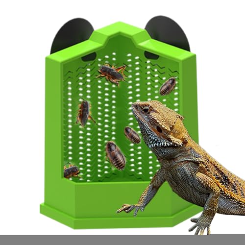 ঒ނ̉aM Ãt[h{E | ঒ރt[hM঒ޗpa{E ঒ޗpfBbV,R[i[tB[_[t[hfBbVAaMzՁA঒ރ{E{EREo