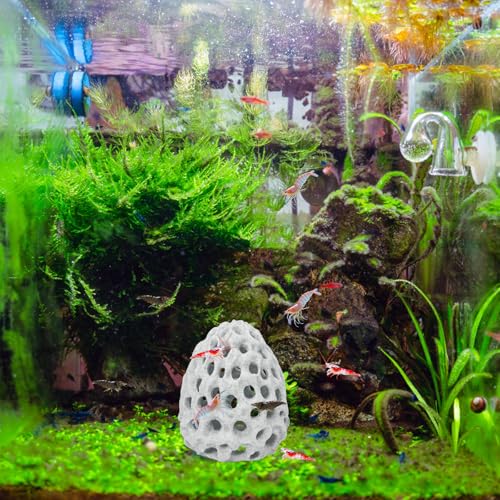 Image of HINGTAI Shrimp Dome Hide Betta Habitat Fish Tank Tunnel with Suction Cup Aquarium Fish Cave Hideout Ornament Accessories for Shrimp Guppy Hiding Resting White