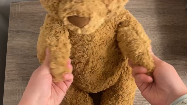 Watch The PERFECT teddy bear! on Amazon Live