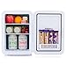 Subcold Ultra 10 Mini Fridge Cooler & Warmer | 3rd Gen |...