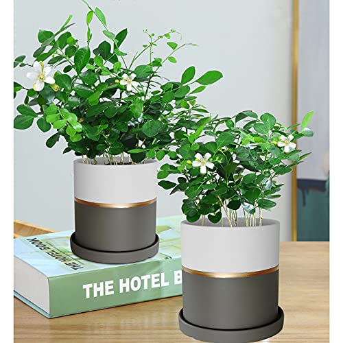 Urohsew Round Ceramic Planter Flower Plant Pot - 5.5 Inch With Drainage Hole Saucer,2 Pack Indoor Planters,Matte White With Gold And Grey Detailing #TOP3