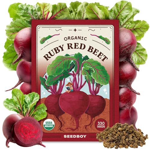 Seedboy Organic Beets Seeds for Planting Indoor and Outdoor, Non-GMO
