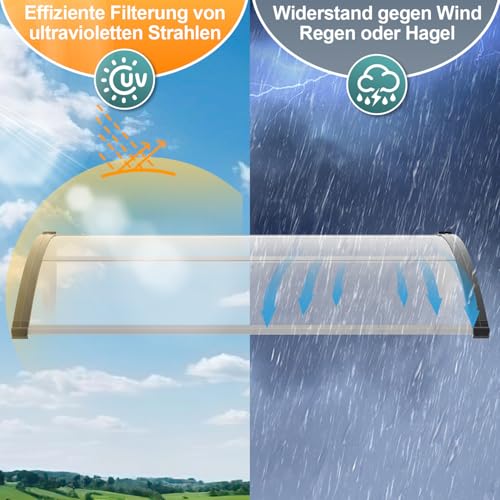 Auvent de porte extérieur polycarbonate transparent 100 x 300 cm arqué