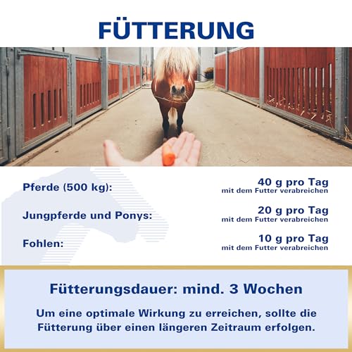 EQUIPUR - zink forte - Sicher versorgt mit organischem Zink und Selen, 1000 g Pellets in Dose