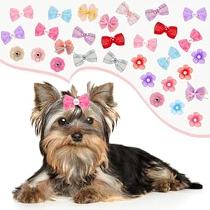 40pieces dog bows cute small dog hair bowknot mix style handmade multicolor puppy hair accessories bow bulk with elastic rubber bands lace rhinestone pearls grooming topknot ball flower accessories   cucciolini doodles