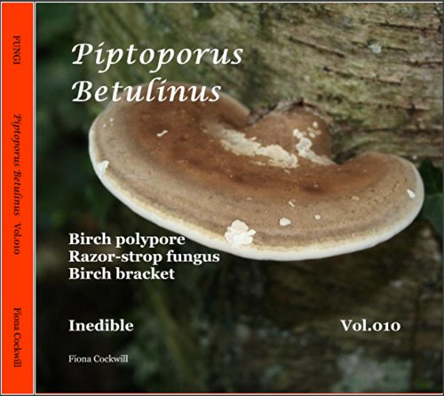 Piptoporus betulinus (FUNGI Book 10) (English Edition)