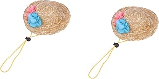 Ipetboom 2 Peças Chapéu De Meninos Mini Chapéu México Mini Sombreros Chapéu Mexicano Chapéu De Palha Tecido Artesanal Chapéu De Aniversário De Cachorrinho Roupas Para Animais De Estimação