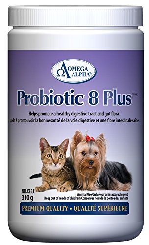 Probiotic 8 Plus, Pet Probiotics for Dogs & Cats, Cat & Dog Probiotics Powder, Cat & Dog Supplements for Gut Health, Antioxidant, Trace Minerals, Fiber & Digestive Enzymes for Dogs and Cats, 310g
