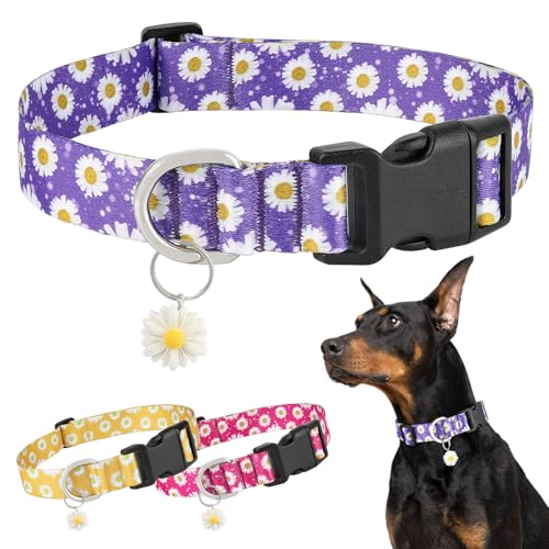 BiPawTi Süßes Hundehalsband Mittelgroße Hunde - Weiches, Verstellbares Halsband mit Margeritenanhänger & Hübsches Blumen Margeritenmuster - Lila Hundehalsband für Mittlere Hunde, M