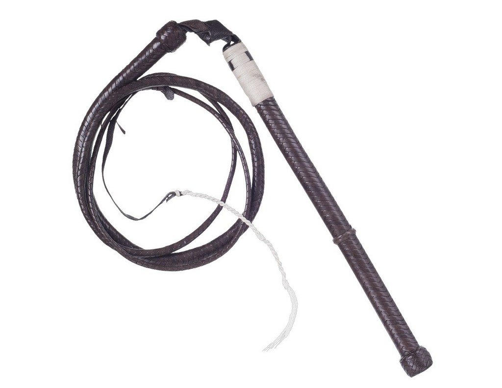 Amazon.co.jp: Deluxe Aussie Stock Whip - 8 1/2 : スポーツ＆アウトドア