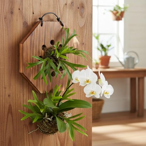 Dranvosk Staghorn Fern Mounting Board Kit Hanging Wall Planter Wood Plant Holder for Vertical Gardens, Platycerium and Succulents, Easy DIY Home Décor