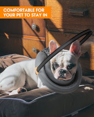 Image of Blind Dog Bumper,Harness Guiding Device for Blind Dog,Pet Anti-Collision Ring for Protective&Build Confidence,Blind Dog Accessories-