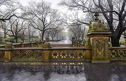 Iconic New York: Expanded Edition