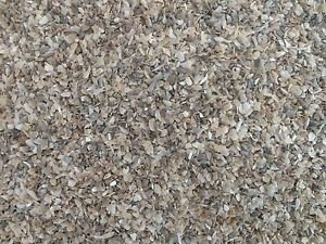 Mr Johnson's PET-154376 Mr J Oyster Shell Grit (1kg), 21.5 x 4.5 x 15 cm Transparent