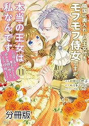 隣国に輿入れした王女付きモフモフ侍女ですが、本当の王女は私なんです