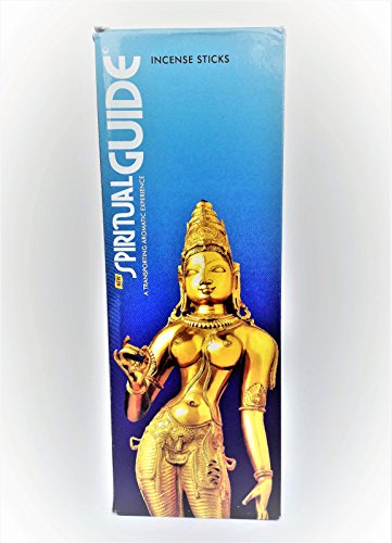 Padmini Spiritual Guide Lot 6u00a0boîtes de 20u00a0bâtonnets du0092encens chacun, 120 bâtonnets au total