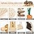 BBjinronjy Hamster Chew Toys Set Small Animal Molar Toys Teeth Care Wooden Accessories for Guinea Pigs,Chinchillas,Gerbils,Mice,Rats,Mouse Rodents Toy Swing Seesaw Bridge