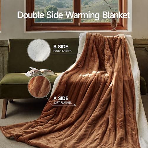 GOTCOZY Heated Blanket King Size - Electric Blanket with Dual Controller, 6 Heating Levels & 10 Hour Auto Off, ETL Certified (100x90 Inch Biscuit)