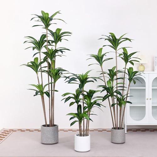 アガベ 大型」の人気商品一覧 | 安い商品を通販サイトから探す - 価格.com