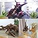 Natural Aquarium Driftwood for Fish Tank&Reptile Terrariums-2 Pcs 9.8-15 Inches Large Aquarium Wood for Aquascaping,Assorted Branch Derorations for Reptile Hide,Oily Sunken Wood with Easy to Sinking