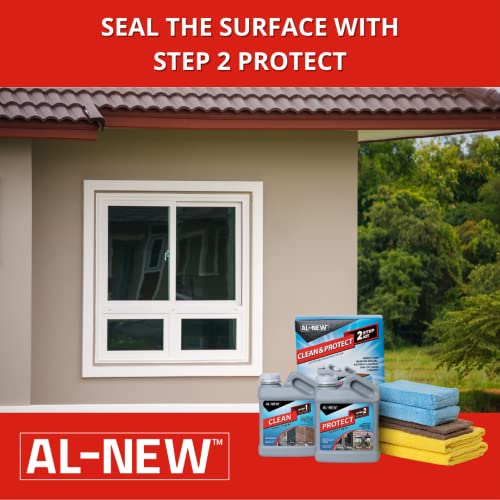 Kit AL-NEW 2 Pasos Limpieza y Protección Exterior miniatura 5