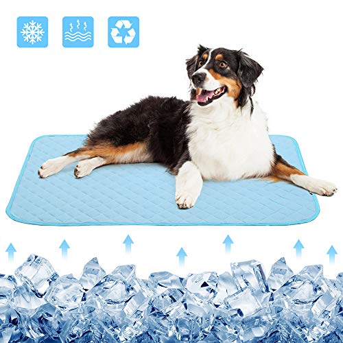 Best Cooler Pad For Dogs