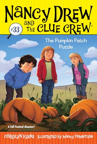 Pumpkin Patch Puzzle view 2