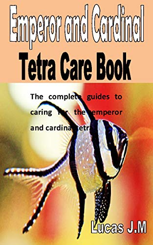 emperor tetra care