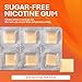 Nicotine Gum 2mg Sugar Free Original Generic for Nicorette 110 Pieces per Box Pack of 4 Total 440 Pieces